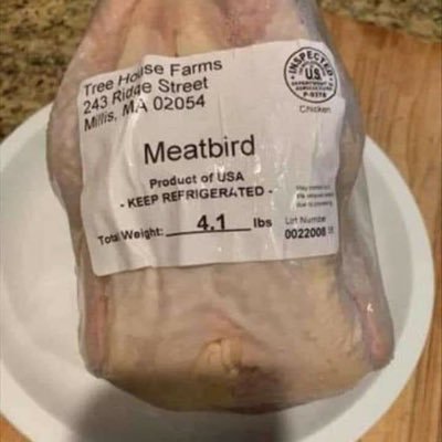 PageAman's profile picture. 