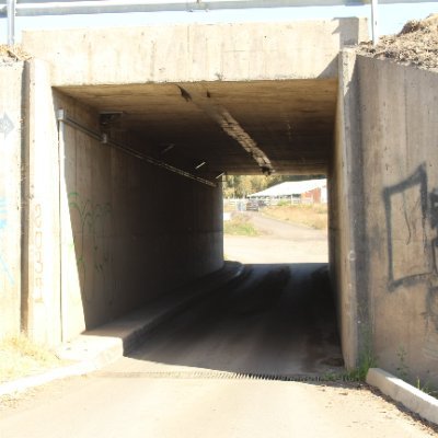 IbacetaJano's profile picture. payasos