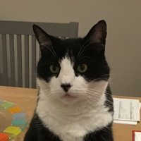 Gill Cassidy (@gillcassidy35) 's Twitter Profile