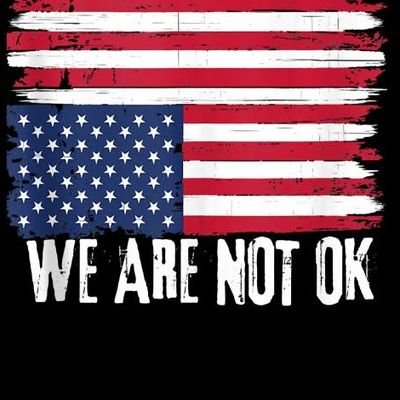 🇺🇸  Patriot - Respect The Constitution!  🇺🇸  Politics = broken.  Healthcare = broken.  Judicial system = broken.  Financial system = broken.  Media = broken