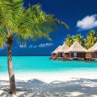 ok (@greedyfindomme) 's Twitter Profile