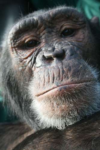 andythebark's profile picture. the bony king of nowhere