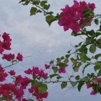 المهندسة نوف (@nooo_0f) 's Twitter Profile