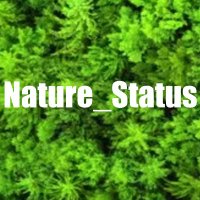 Nature_Status(@Nature_Status1) 's Twitter Profile Photo