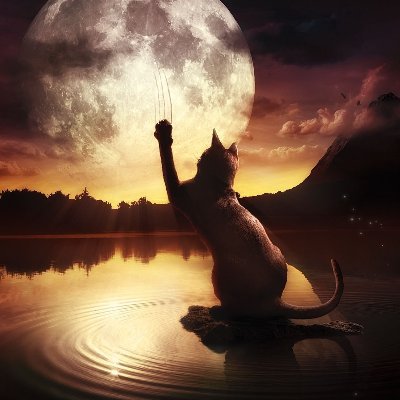 Sergo4420714571's profile picture. Your daily dose of AI, NFTs & crypto trends.