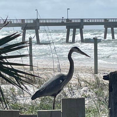 dianekyv's profile picture. My mission in this life has become pretty clear; accomplishing it is the tricky part...