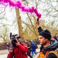 Ed Harlow (@edharlowneu) 's Twitter Profile