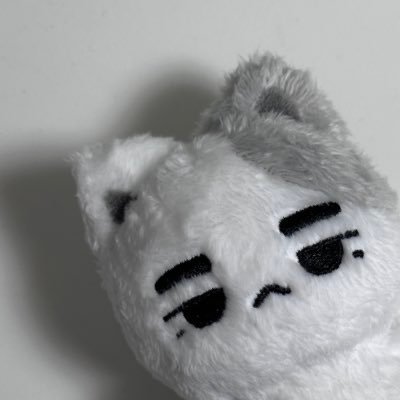 nyoungmeow's profile picture. 박진영 10cm 인형 녕냥이 @JINYOUNG