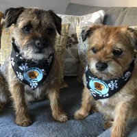 🏴☠️Jack n Mac BT Hooligans🌈Jess💫❤️🩹💫Molly🌈 (@btsjacknjess) 's Twitter Profile Photo 🏴☠️Jack n Mac BT Hooligans🌈Jess💫❤️🩹💫Molly🌈 (@btsjacknjess) 's Twitter Profile Photo
