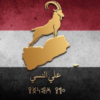 علي النسي(@aalnaasi) 's Twitter Profile Photo