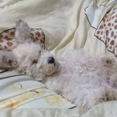 Música, ml, livros, DC, animes e algumas animações em geral. Conta pessoal com cara de fan account.