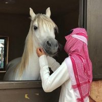 عبدالفتاح (@abdulfattah3c47) 's Twitter Profile