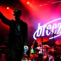 BREEZER (@breezerfever) 's Twitter Profile