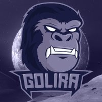 Golira Esports (@goliraesports) 's Twitter Profile Photo Golira Esports (@goliraesports) 's Twitter Profile Photo