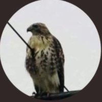 T.W.I.T.T.E.R. X+X²+Y²=49 profilo parodia (@salvinimi) 's Twitter Profile Photo T.W.I.T.T.E.R. X+X²+Y²=49 profilo parodia (@salvinimi) 's Twitter Profile Photo