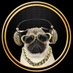 Pitboy Crypto (@PitboyCrypto) Twitter profile photo