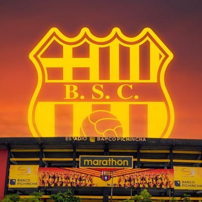 bsc696's profile picture. 