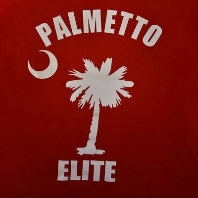 Travel Basketball Program based out of Charleston, SC palmettoelitebasketball@gmail.com