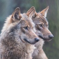 𝓜𝓲𝓰𝓾𝓮𝓵 𝓐𝓷𝓰𝓮𝓵 𝓙𝓻 (@angel24629683) 's Twitter Profile Photo 𝓜𝓲𝓰𝓾𝓮𝓵 𝓐𝓷𝓰𝓮𝓵 𝓙𝓻 (@angel24629683) 's Twitter Profile Photo