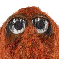 Snuffleupagus(@MrSnuffleupagus) 's Twitter Profile Photo