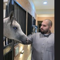 عبادي اليامي (@abod91915580) 's Twitter Profile