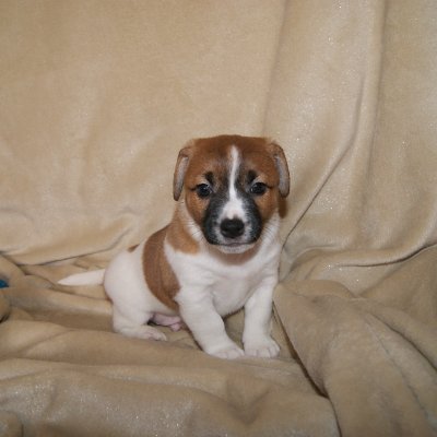 Lati1906's profile picture. CEO of Henlo