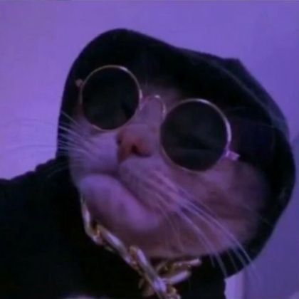 PROROK1337gg's profile picture. 