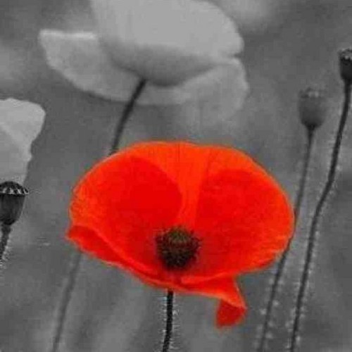 mazzw7's profile picture. 