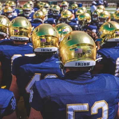 PParolini3's profile picture. 