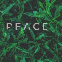 SLOE (@kvngcfc) 's Twitter Profile