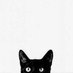 ブラックキャット(^•▼•^)S (@090701blackcat) Twitter profile photo ブラックキャット(^•▼•^)S (@090701blackcat) Twitter profile photo
