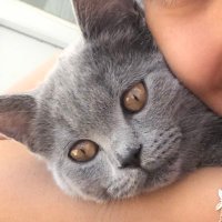 💊 (@eczaneteknikepp) Twitter profile photo