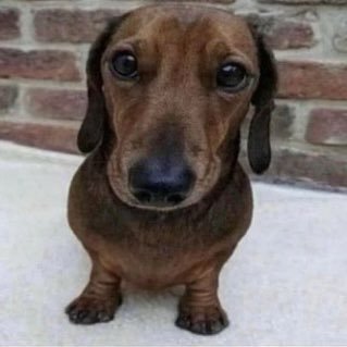 MIRROR_DWELLER's profile picture. THEY GOT ME