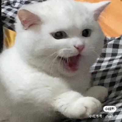 Jayfrombc0225's profile picture. Eagle107 Seals Football Stat Guy. Penn State, Eagles, Phillies, Flyers, Spurs fan. Love Jesus, my wife Alicia, and son Trey