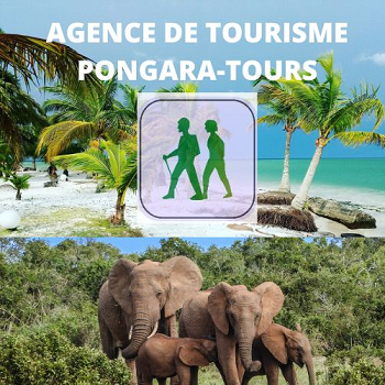 Exploration ,Encadrement, Conception Circuits écotouristique et Formation
Discover the beauty of Gabonese nature