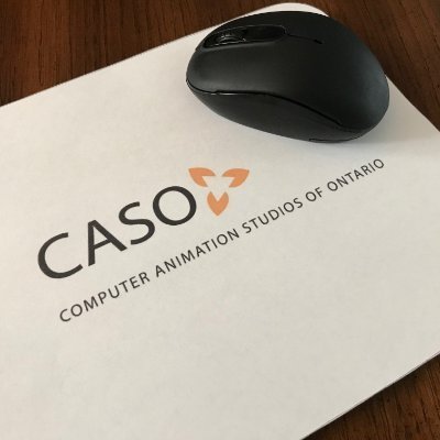 CASO is a non-partisan, not-for-profit industry organization committed to the growth and international competitiveness of Ontario's Animation and VFX industry.