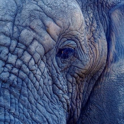 AnasMoJAli's profile picture. 