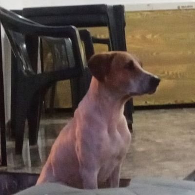 h_modestoCrd's profile picture. eu sumo e apareço do nada