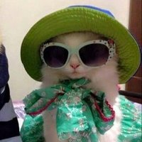𝓐𝓶𝓲𝓻𝓪 (@amirrrafouad) 's Twitter Profile