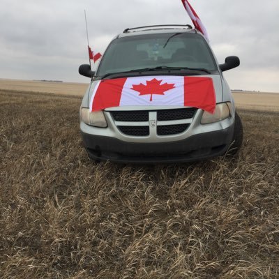 clown273649's profile picture. totally freedom thinker. I know what I know.