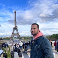 Tarek AZiz (@tarek3ziz) 's Twitter Profile
