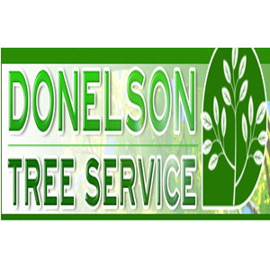 We have more than 8 years of experience in providing tree services in Vineland NJ, it includes land clearing and leveling, tree trimming and tree stump removal.