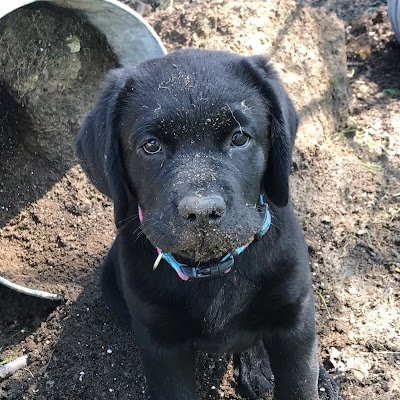 AnspachBev's profile picture. 