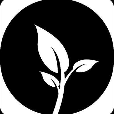 Igrejada_Vida's profile picture. Ministério Português da LifeChurch – Mundo de Fe