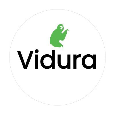 ViduraAi's profile picture. https://t.co/6JesleGguA - AI prompt engineering platform