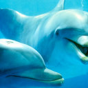 Michele Farina - @MicheleFarina0 - Twitter