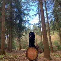 Richard Spate (@trigger1407) 's Twitter Profile