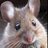 mrmousehouse's profile image