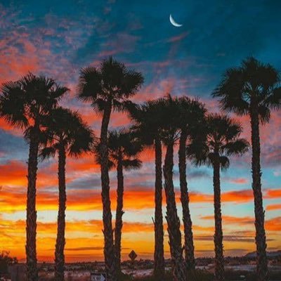 JrShettimah's profile picture. Main Accnt  @shettimah_jr