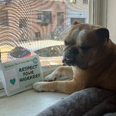 Wage theft lawyer. Blow up a fossil fuel industry pipeline to money by switching to a bank that doesn’t fund it. Find one here: https://t.co/WXeKpbQPwS